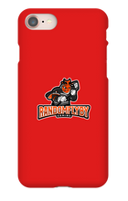 randomflybygaming iPhone Phone Cases