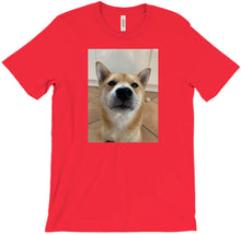 Hoshiko´s T-Shirt