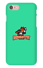 randomflybygaming iPhone Phone Cases