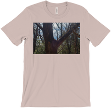 Saturated Tree