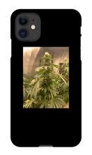 Hard On iPhone Case