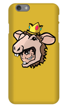 bcchi iPhone Phone Cases