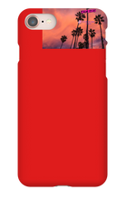 palm seas limited case