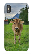 Iphone Phone Case Bavaria Cow