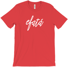 Camisa Efatá