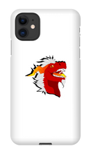 chaosdtv1 iPhone Phone Cases