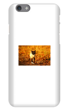 Aidan Rockel-Bigus iPhone Phone Cases