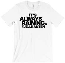 IT'S ALWAYS RAINING IN FJELLY alt