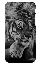 swyzz_jolino iPhone Phone Cases