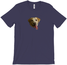 SHINER DOGGO