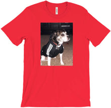 tcanzz T-Shirts