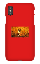 Aidan Rockel-Bigus iPhone Phone Cases