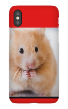 buckeyegamer10 iPhone Phone Cases