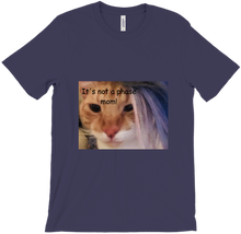 catgirl1224's "It's not a Phase Mom!"