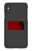 javisystems24 iPhone Phone Cases