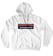 patagonia hoodie