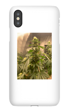 Hard On iPhone Case