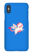 raindanceziggy iPhone Phone Cases