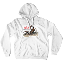 ideal_touch Hoodies (No-Zip/Pullover)