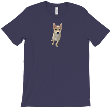 Shifu T-shirt