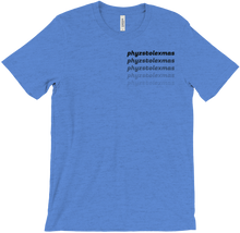 phyzstolexmas T-Shirts