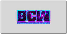 B9. BCW XXL Gaming Mousepad