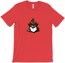 ravensfanvb T-Shirts