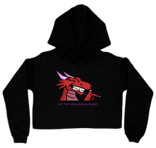 Ladies Hoodie of Shenanigans