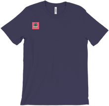 pgrproleplay T-Shirts
