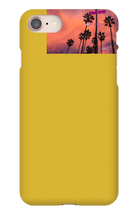 palm seas limited case