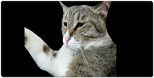 antontv_2k XXL Gaming Mousepad
