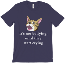 It's not bullying shirt