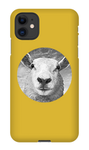 GraySheep  iPhone Cases