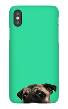 pugzzz iPhone Phone Cases