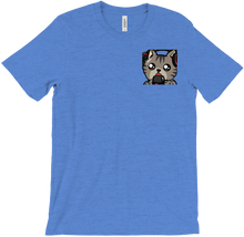 Patrick the Stream Cat