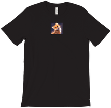 shisuixblaze T-Shirts