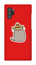 Kitty Tako Case