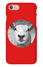 GraySheep  iPhone Cases