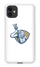 golden_shell_back iPhone Phone Cases