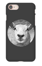 GraySheep  iPhone Cases