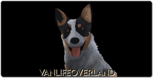 Heeler XXL Gaming Mousepad