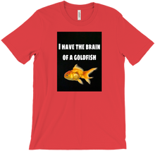 I have the brain of a goldfish