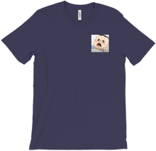 Polar Tee v2