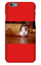 Funny Taco Cat Iphone Case