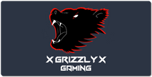 xgrizzlyxgaming XXL Gaming Mousepad