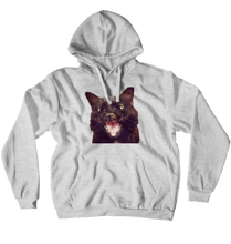 saltylemonpi Hoodies (No-Zip/Pullover)