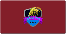 hylian_rice XXL Gaming Mousepad
