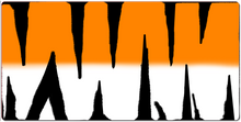tygrys bengal cs:go