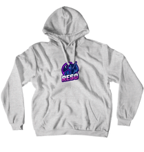 Hoodies (No-Zip/Pullover)