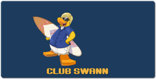 XXL Gaming Mousepad Swann